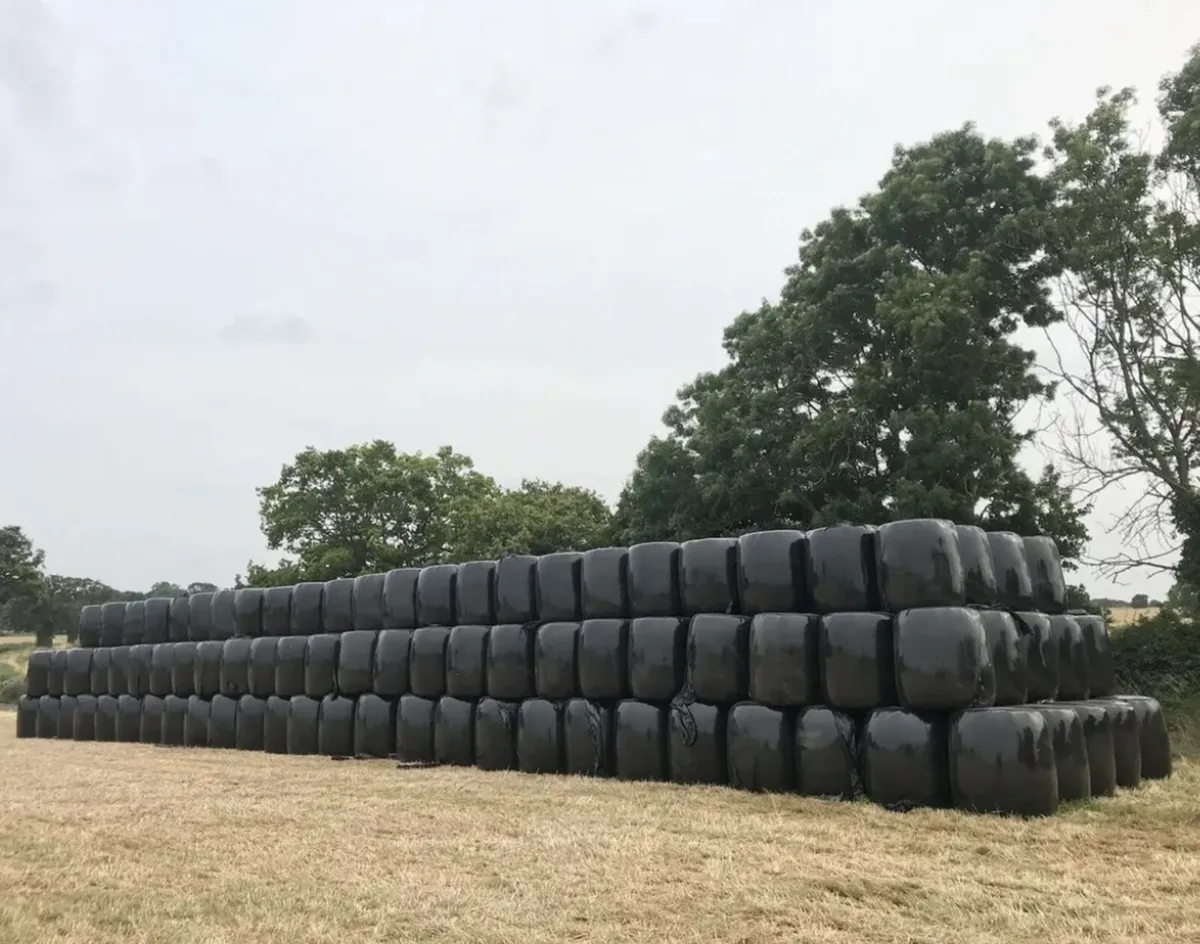 Haylage - Image 1