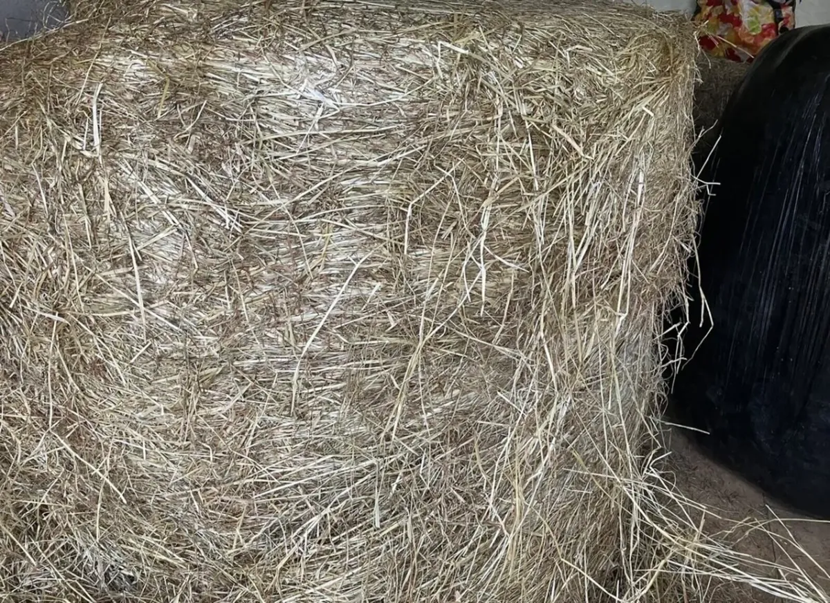 Haylage - Image 3