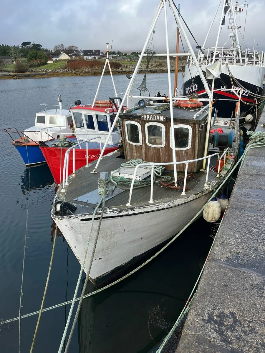 Boat and license - Image 1