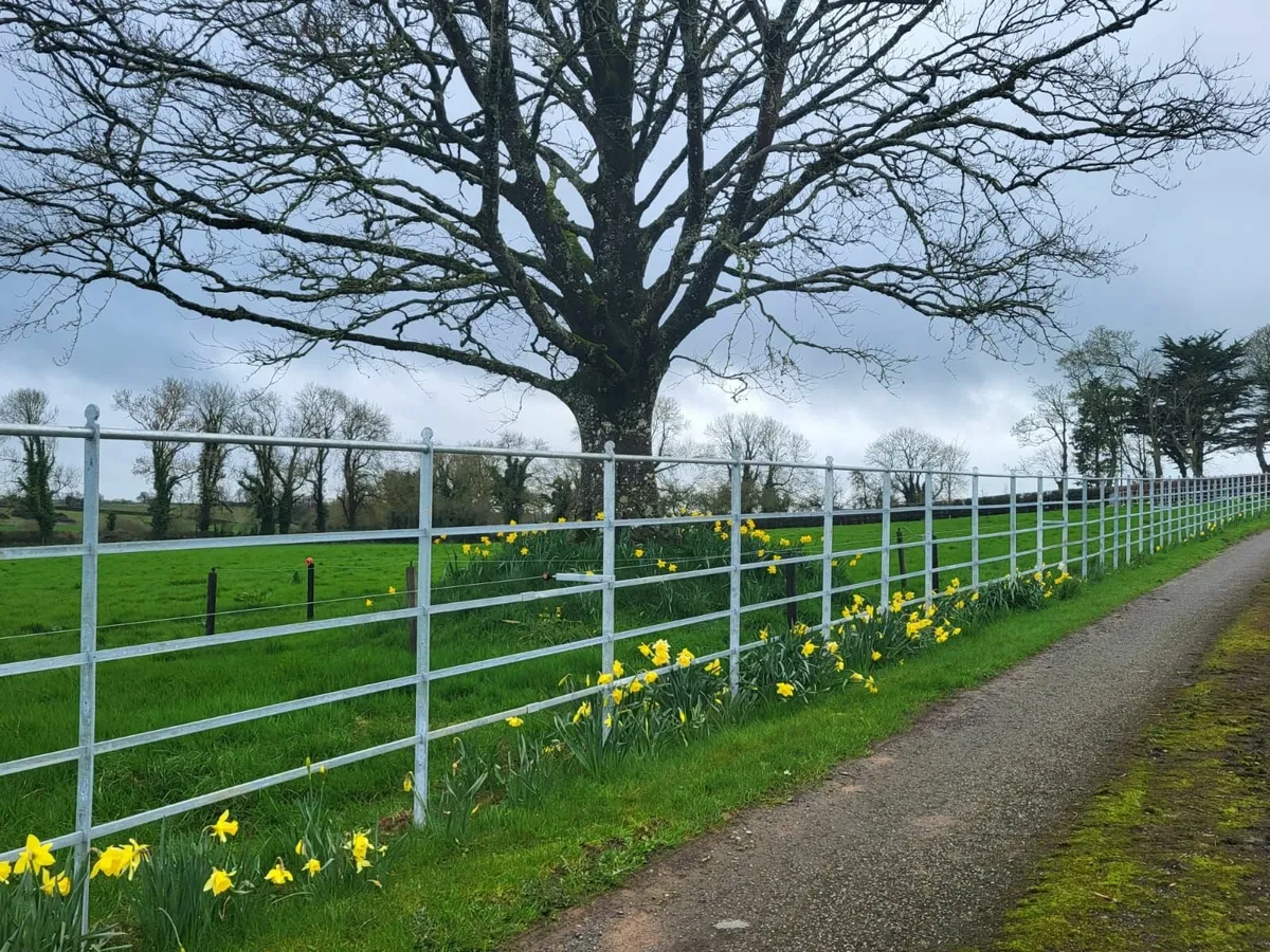 Fencing - Image 4