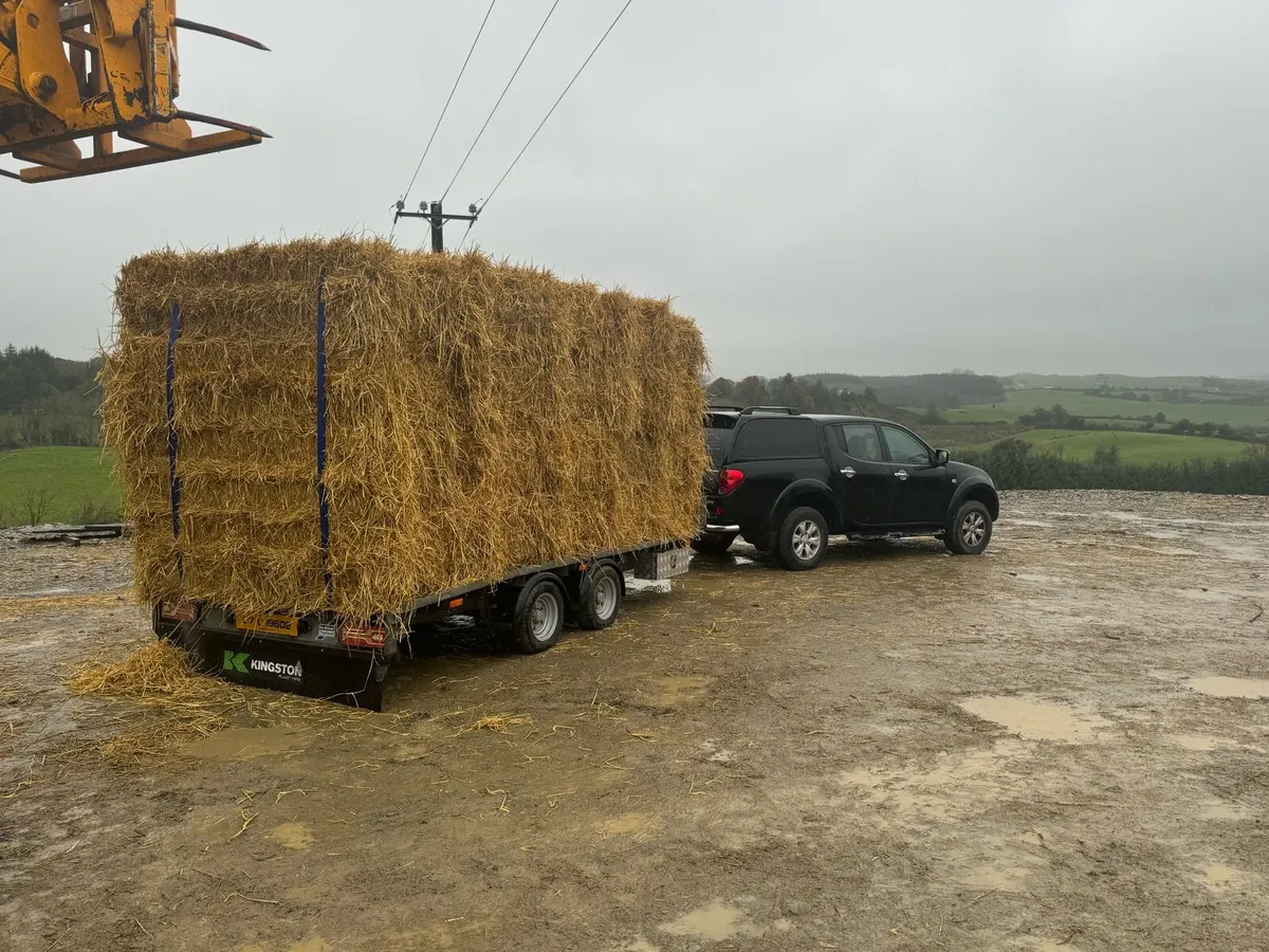 Straw & Hay  . Rounds & Large Squares - Image 2