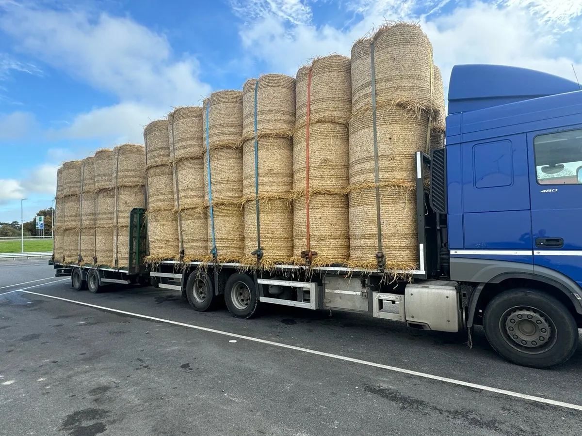 Straw & Hay  . Rounds & Large Squares - Image 3