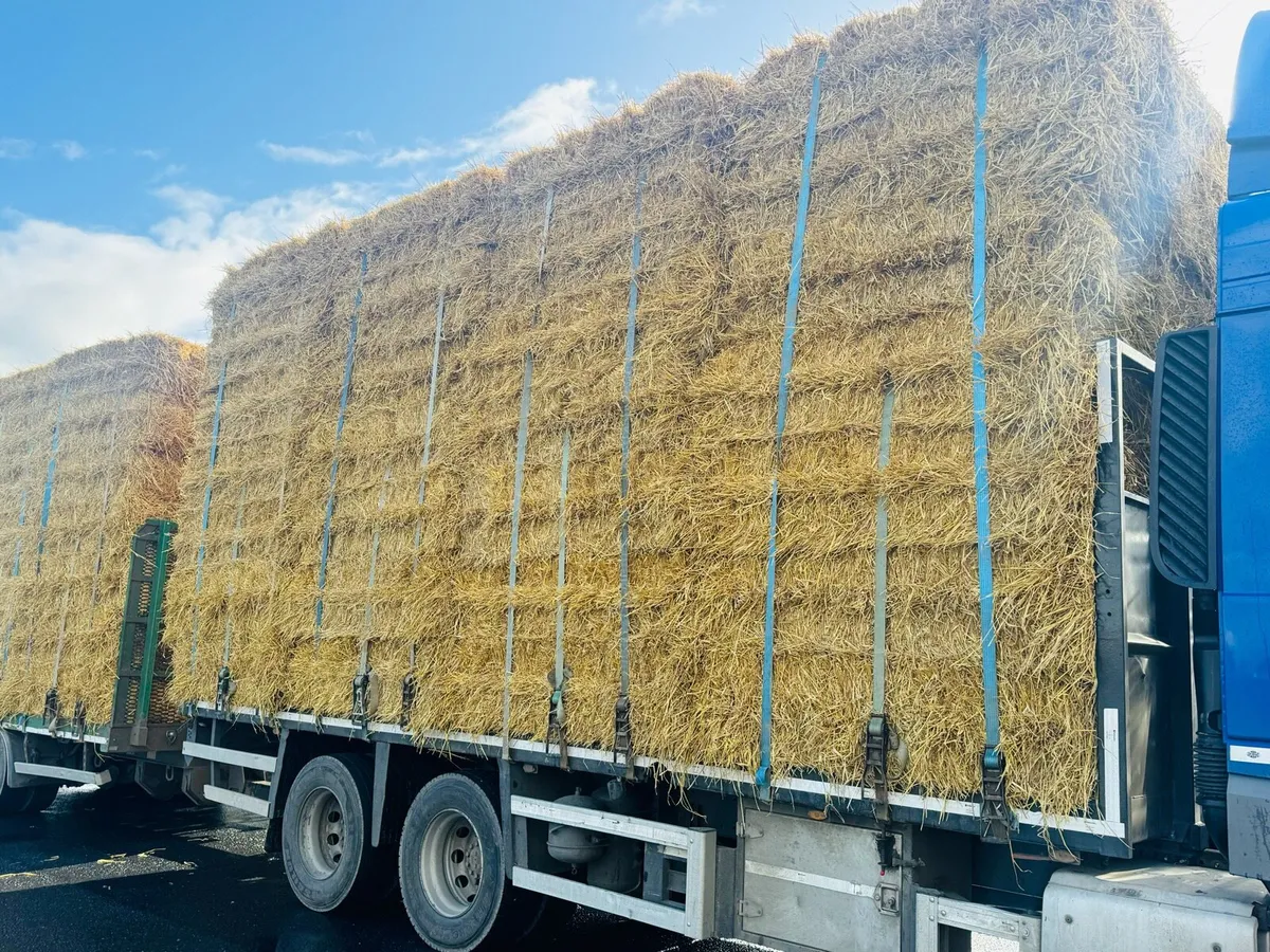 Straw & Hay  . Rounds & Large Squares - Image 4