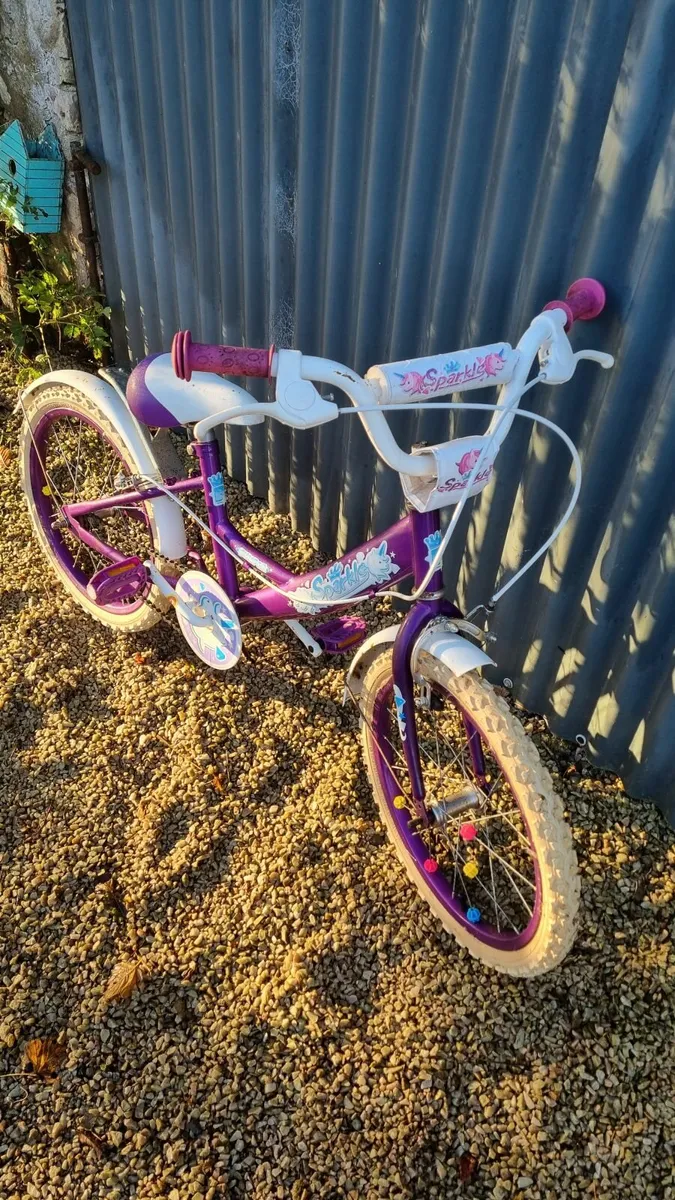 Kids Bumper Sparkle 20 Bike for sale in Co. Donegal for 80 on DoneDeal