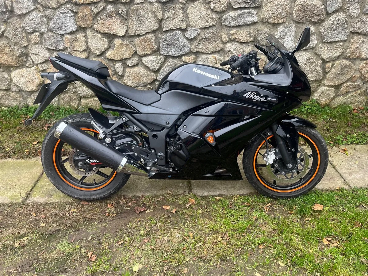 2015 Kawasaki Ninja 250R - Image 1