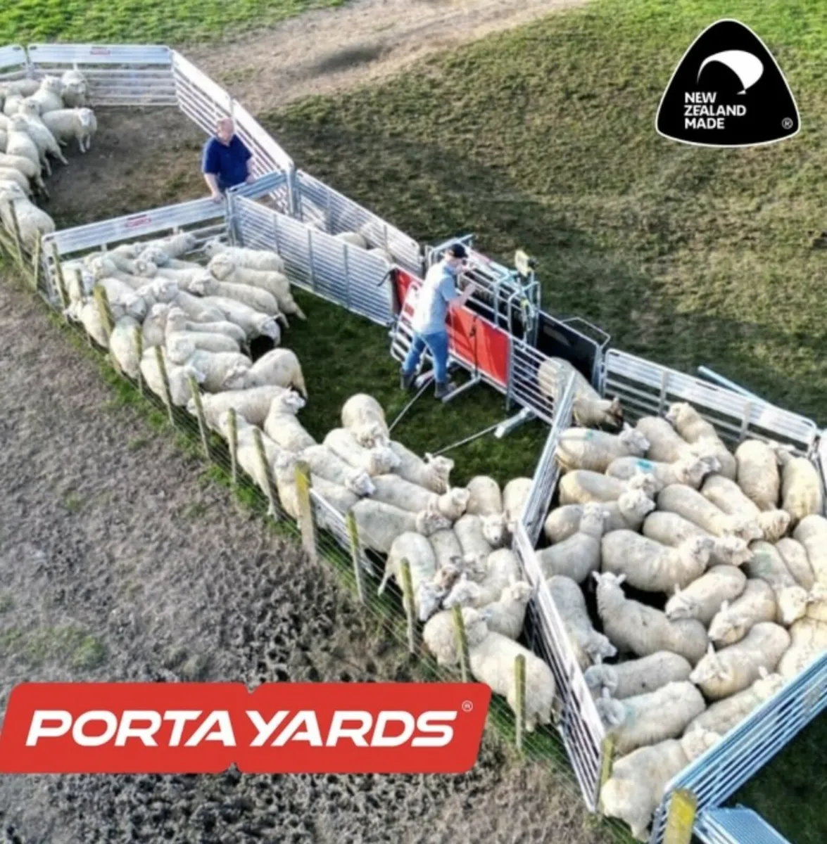 Portayards Ireland - Sheep Race Trailers - Image 3