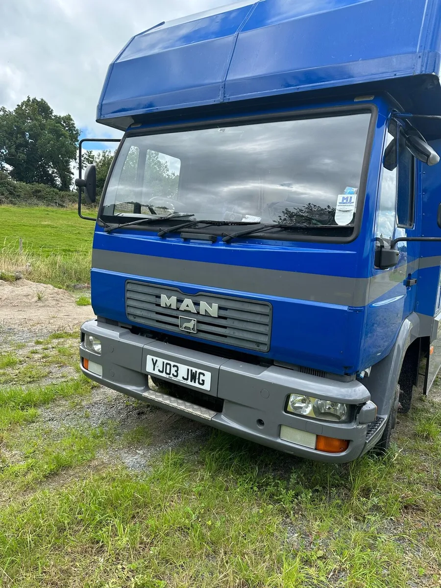 MAN 7.5 ton 3 horse lorry - Image 1