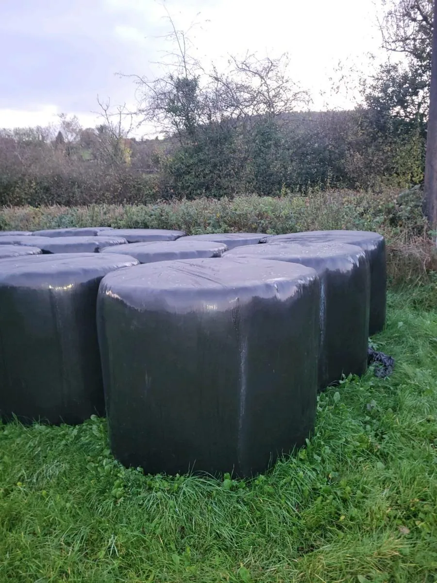 Haylage for sale in Co. Westmeath for €45 on DoneDeal