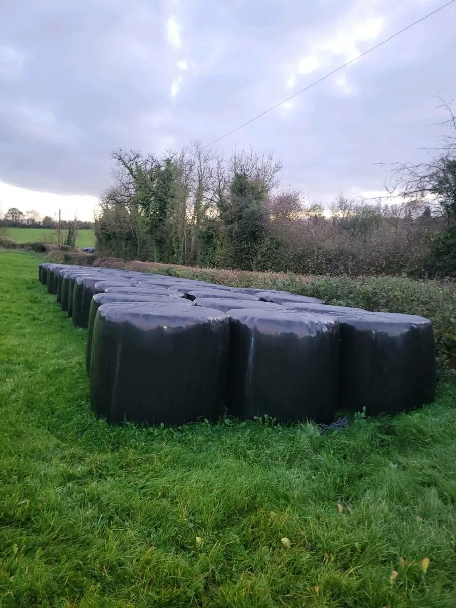 Haylage for sale in Co. Westmeath for €45 on DoneDeal
