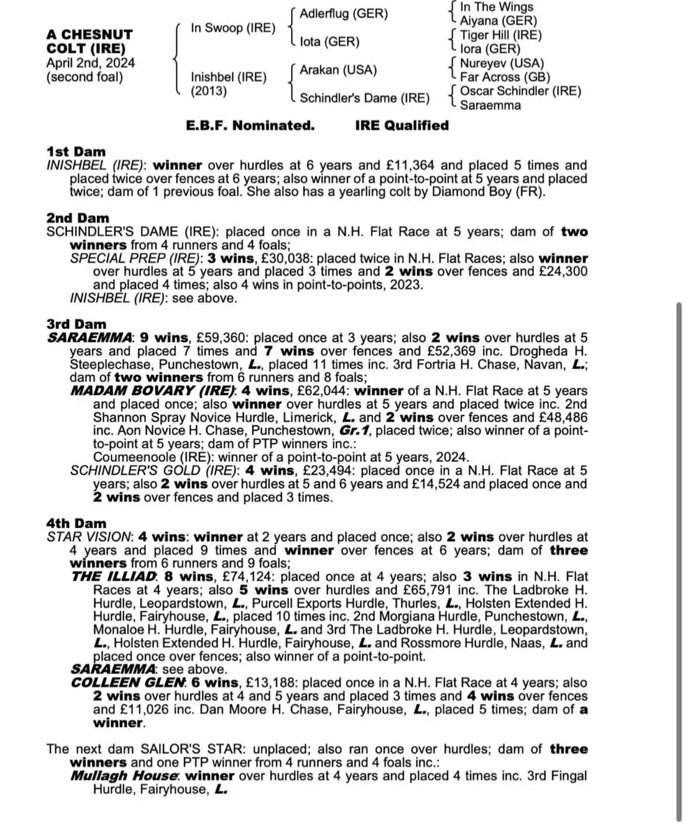 Thoroughbred Broodmare for sale in Co. Wexford for €0 on DoneDeal