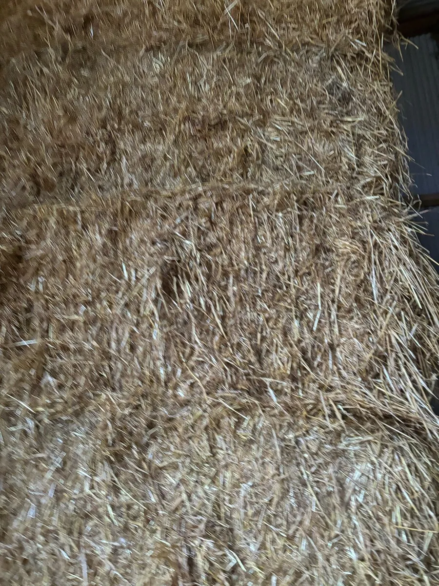 Hay & straw - Image 2