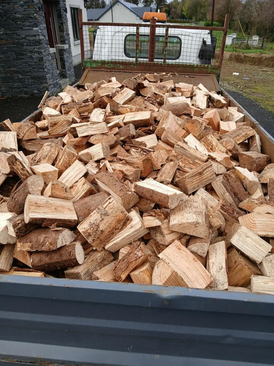 Firewood - Image 1