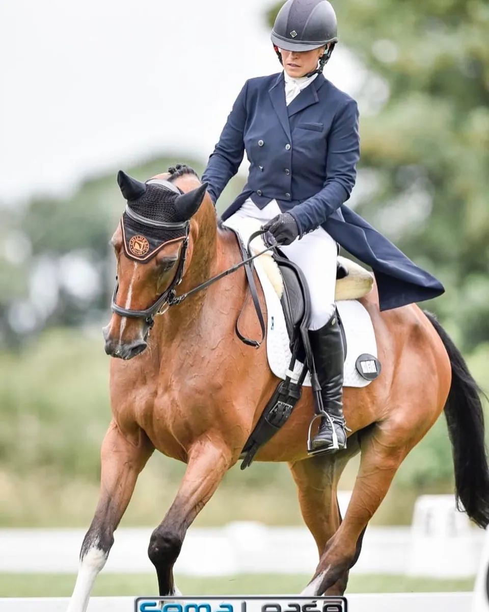 sales/schooling/competition livery - Image 3