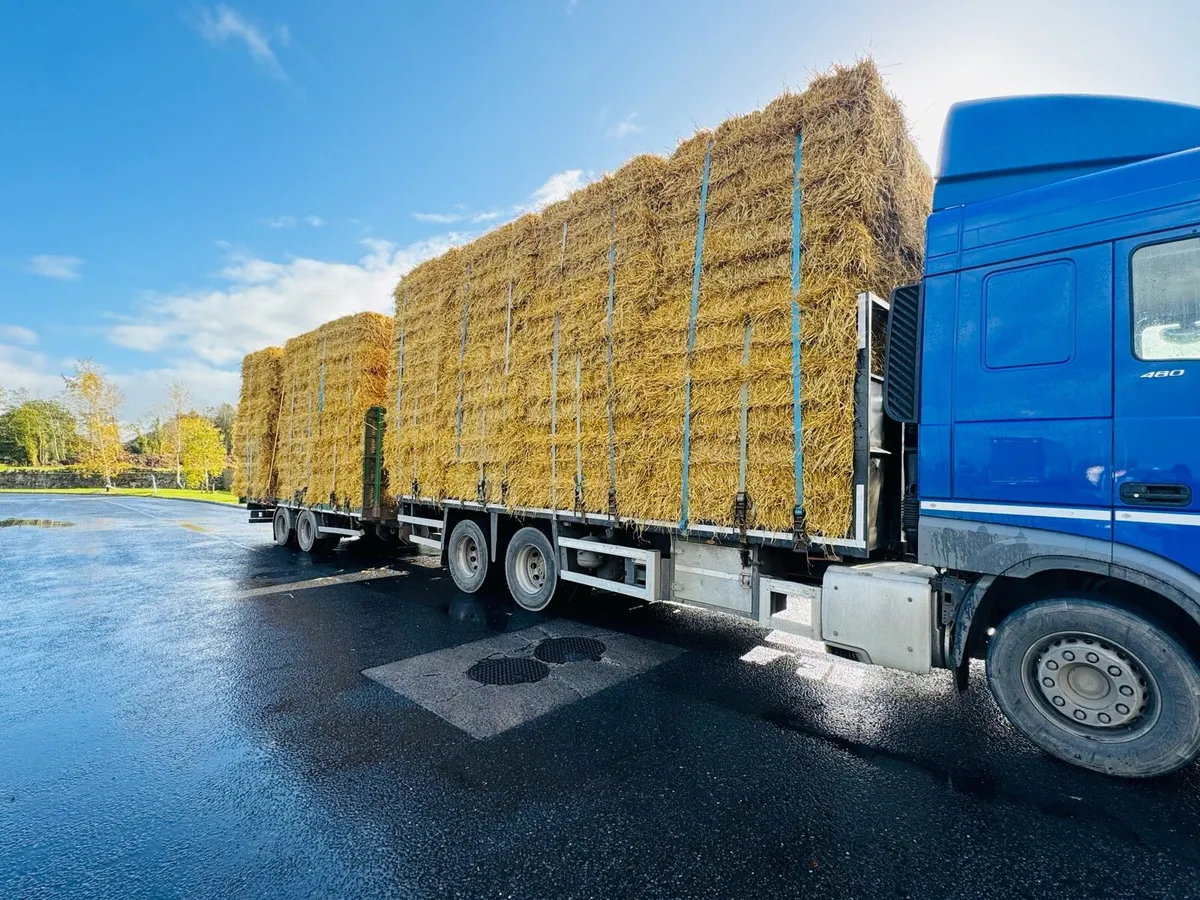 2025 Hay - Straw - Rounds & Square - Image 3