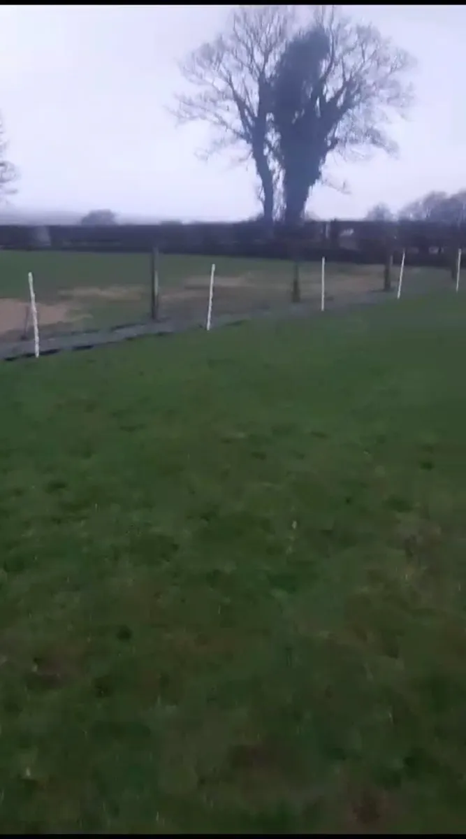 Tree and hedge planting - Image 3