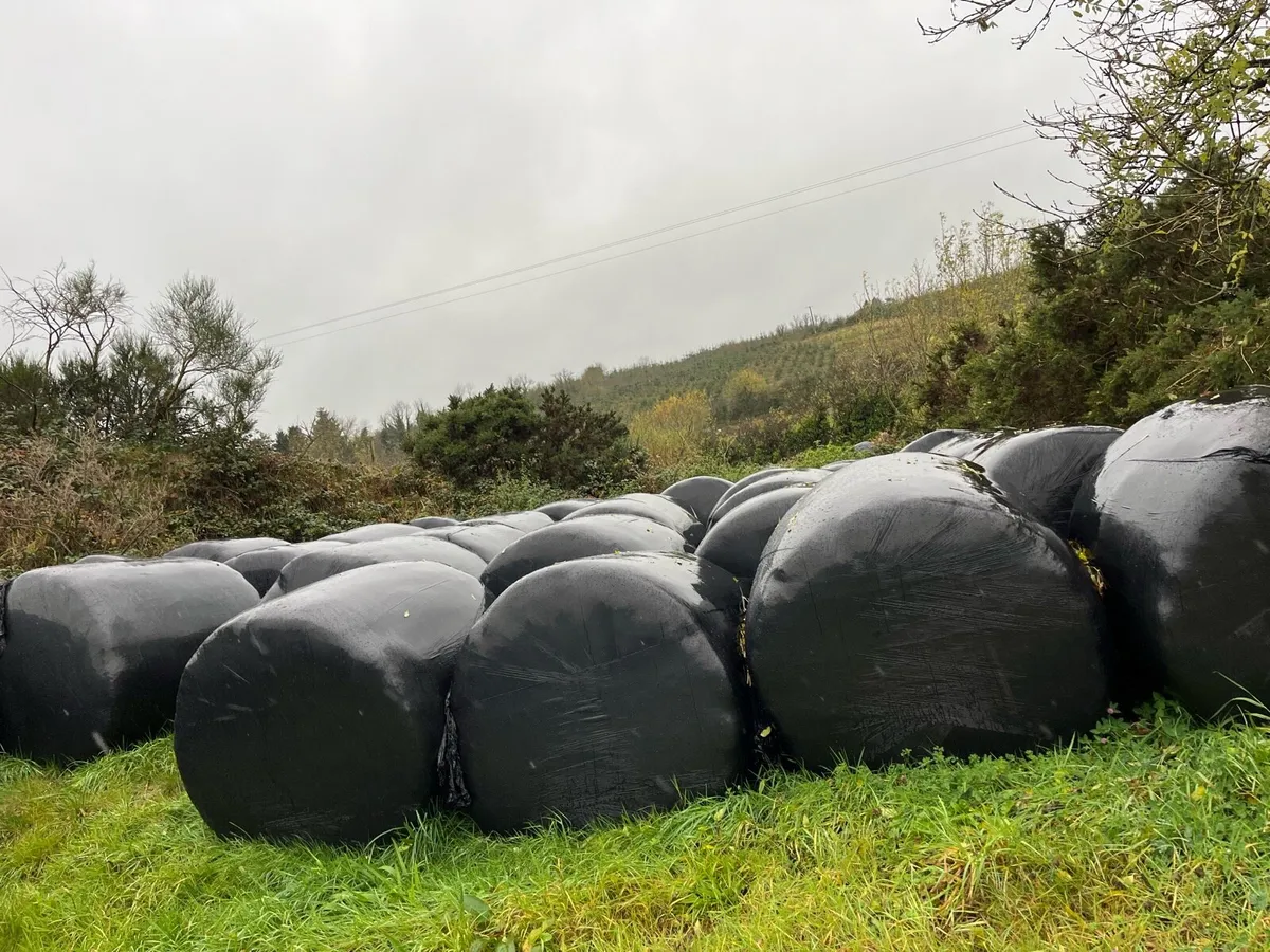 Silage Bales - Image 1