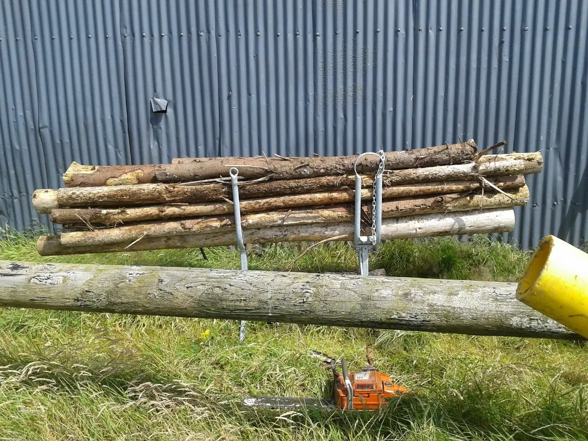 Log Horse - Image 4