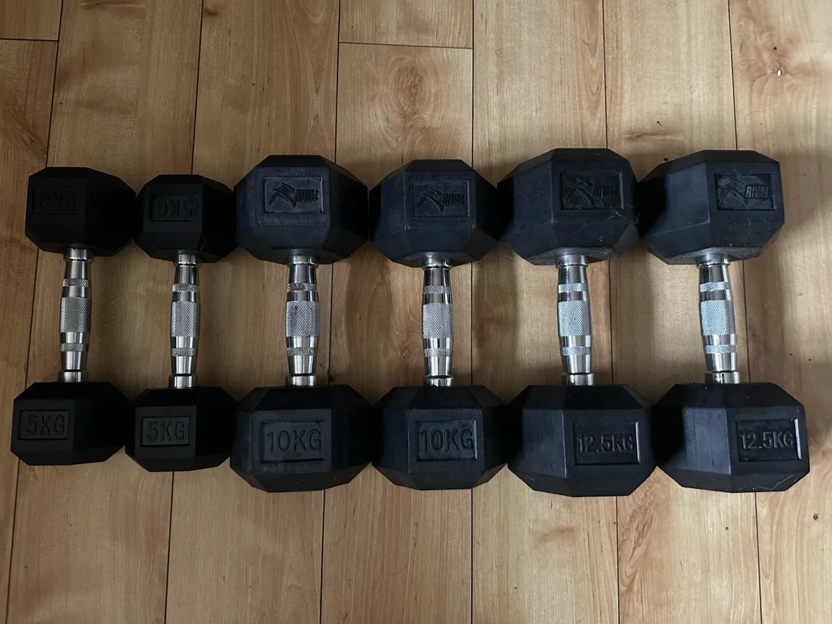 Donedeal dumbbells sale