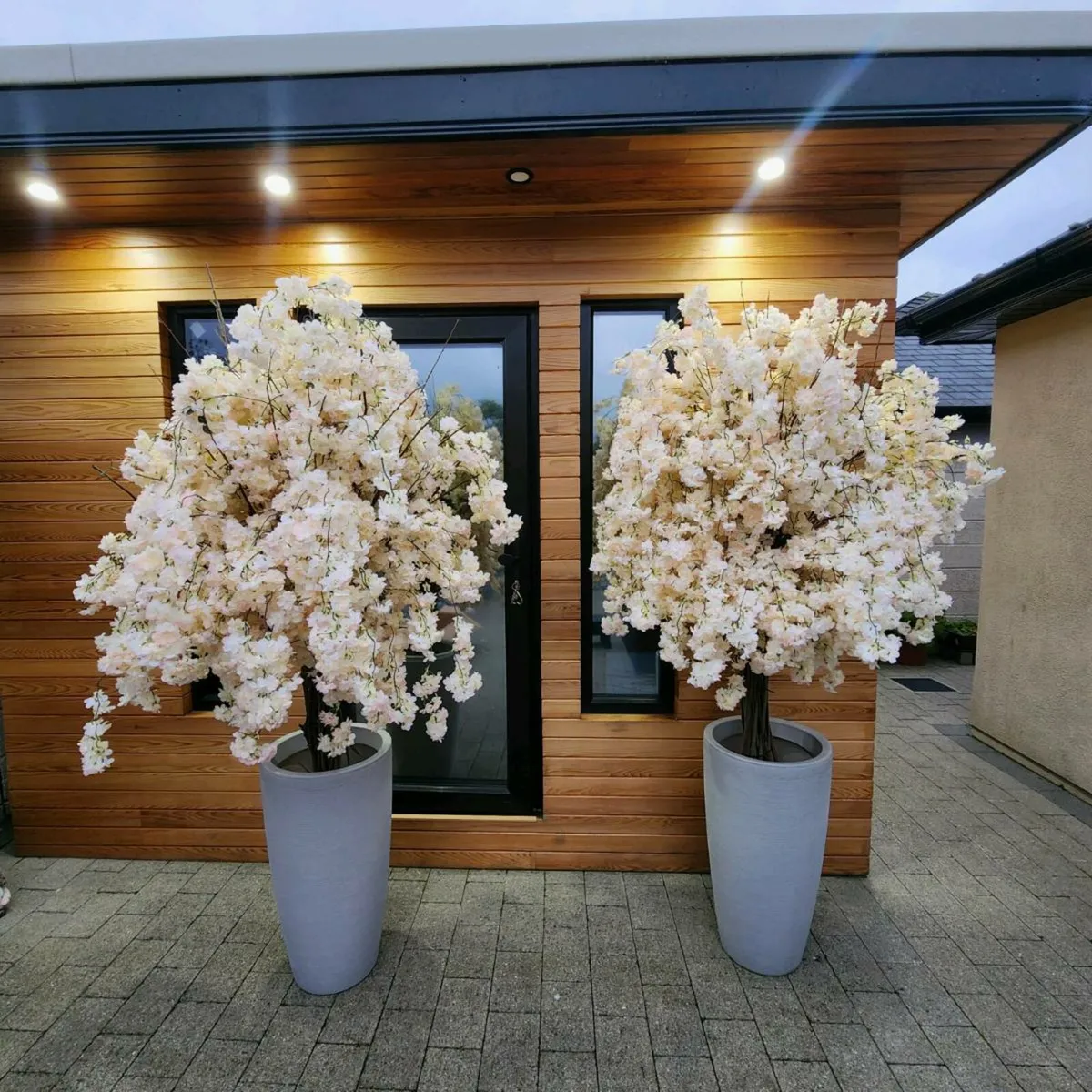 Cherry blossom threes - Image 2