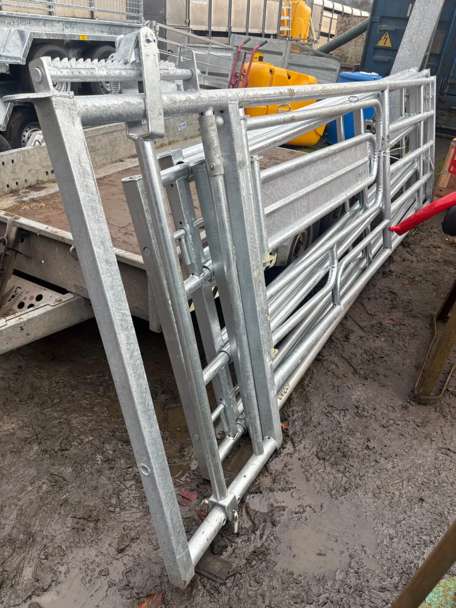 New condon calving gate