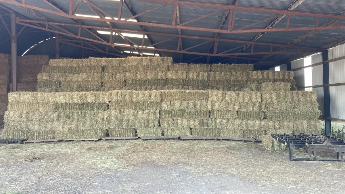 Horse Hay for sale - Image 1