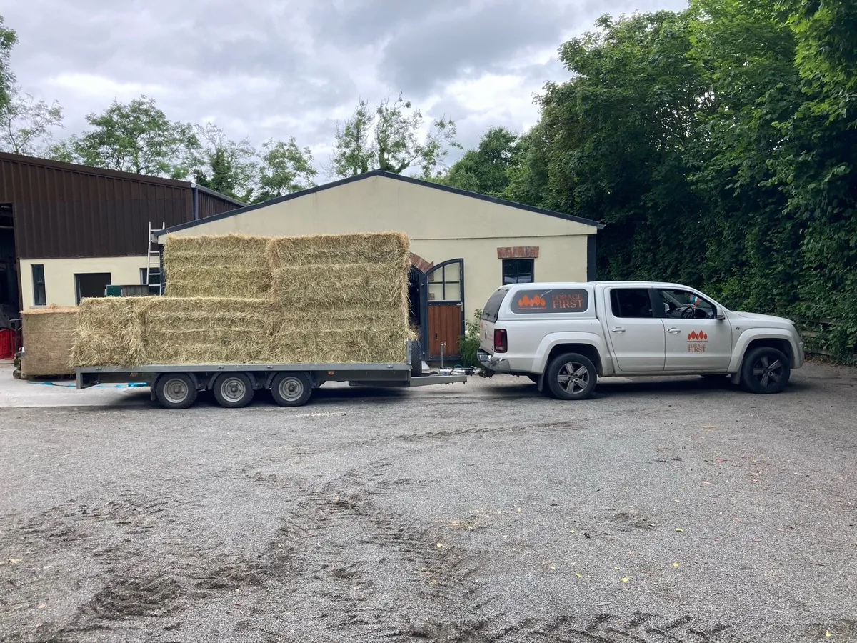 Horse Hay for sale - Image 3