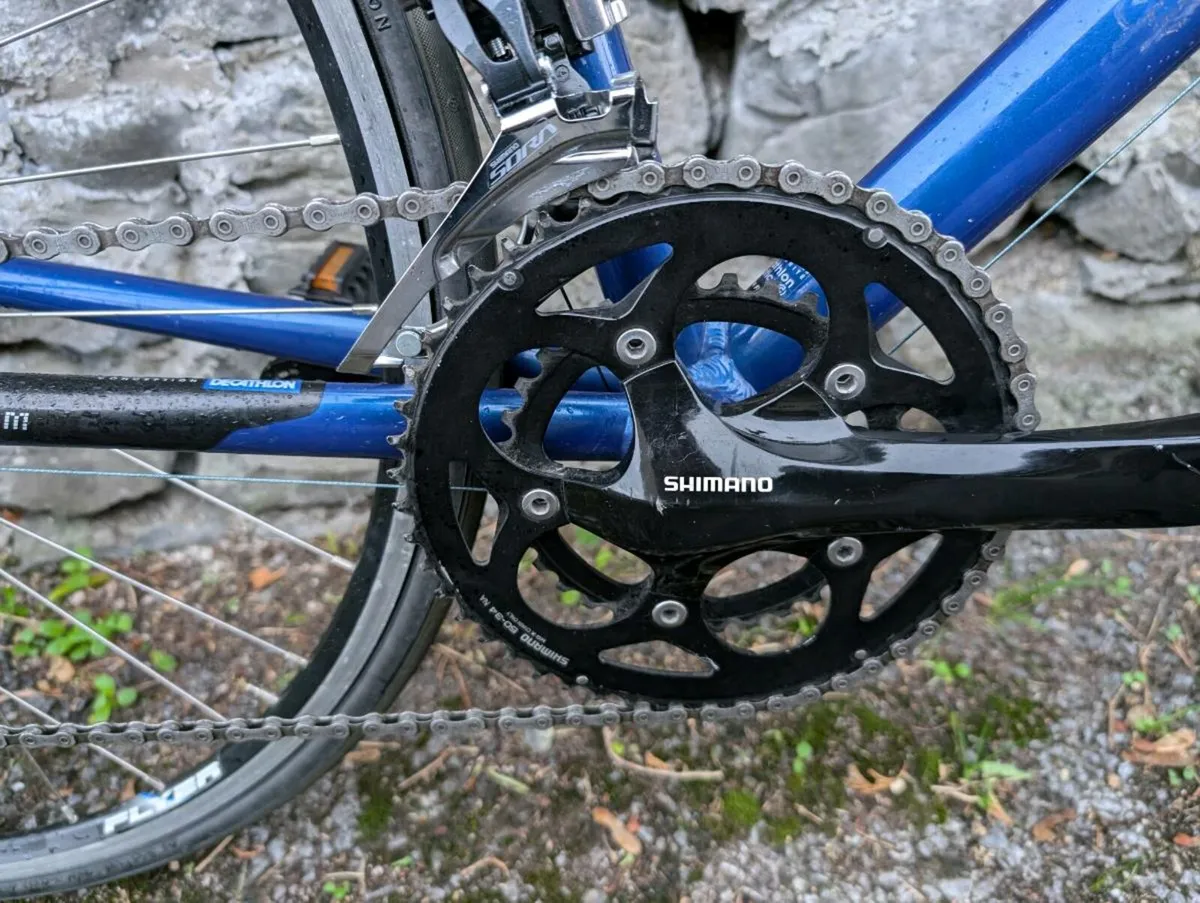 Flat bar racer hotsell