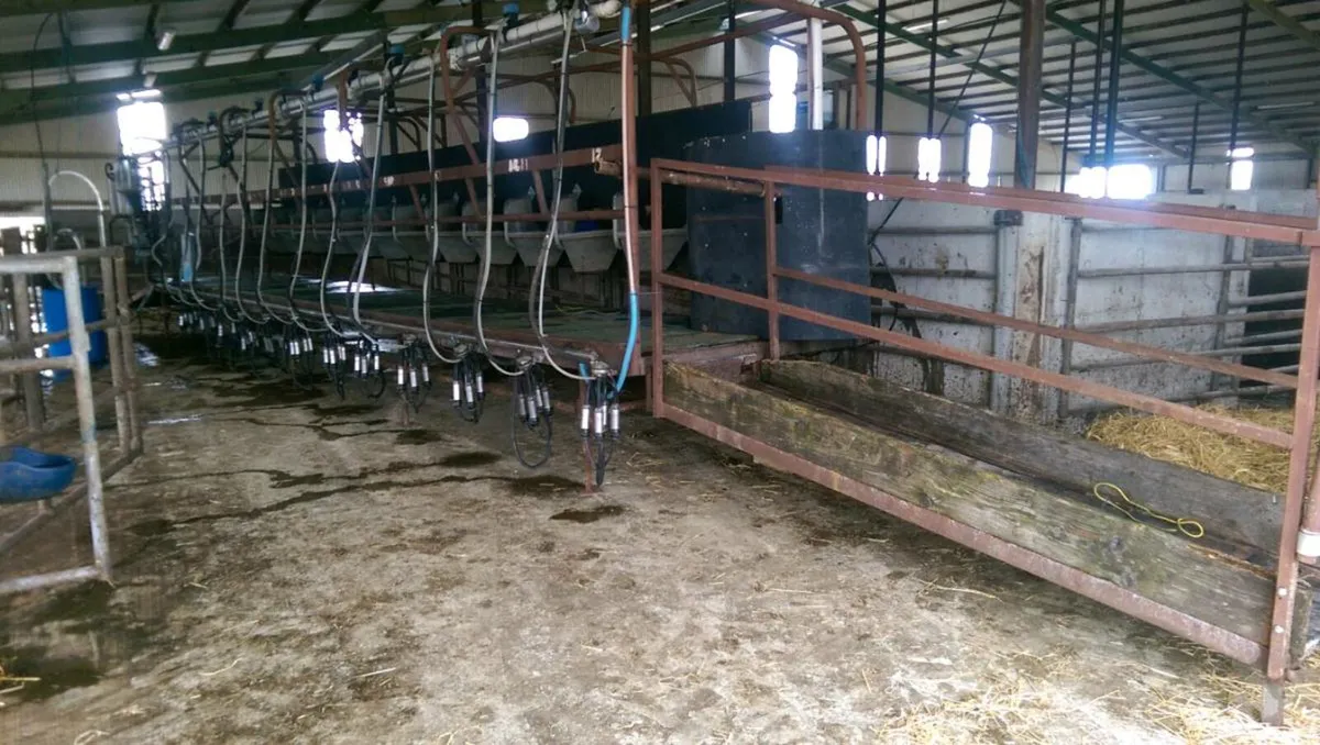 Temporary milking parlour( Mobil milking parlour - Image 3