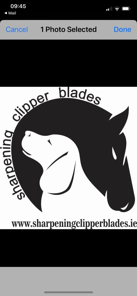 Dog grooming blade sharpening - Image 1