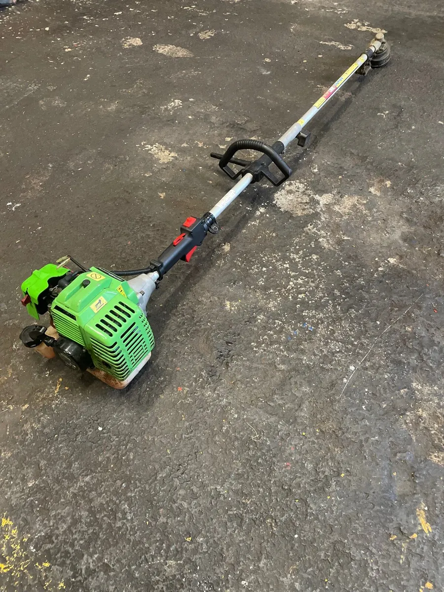 Petrol strimmer for sale in Co. Tyrone for 75 on DoneDeal