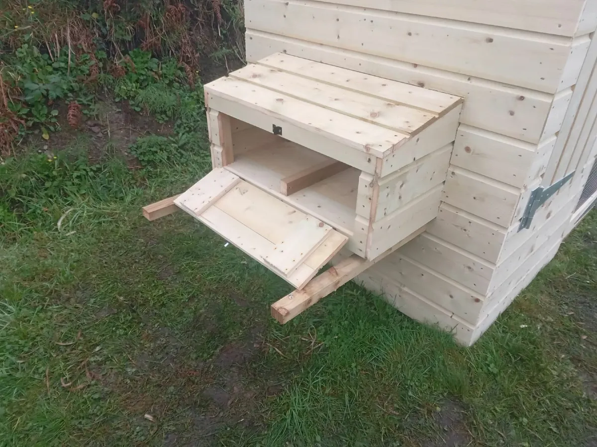 Chicken Coops - 💥Nationwide Delivery💥 - Image 2