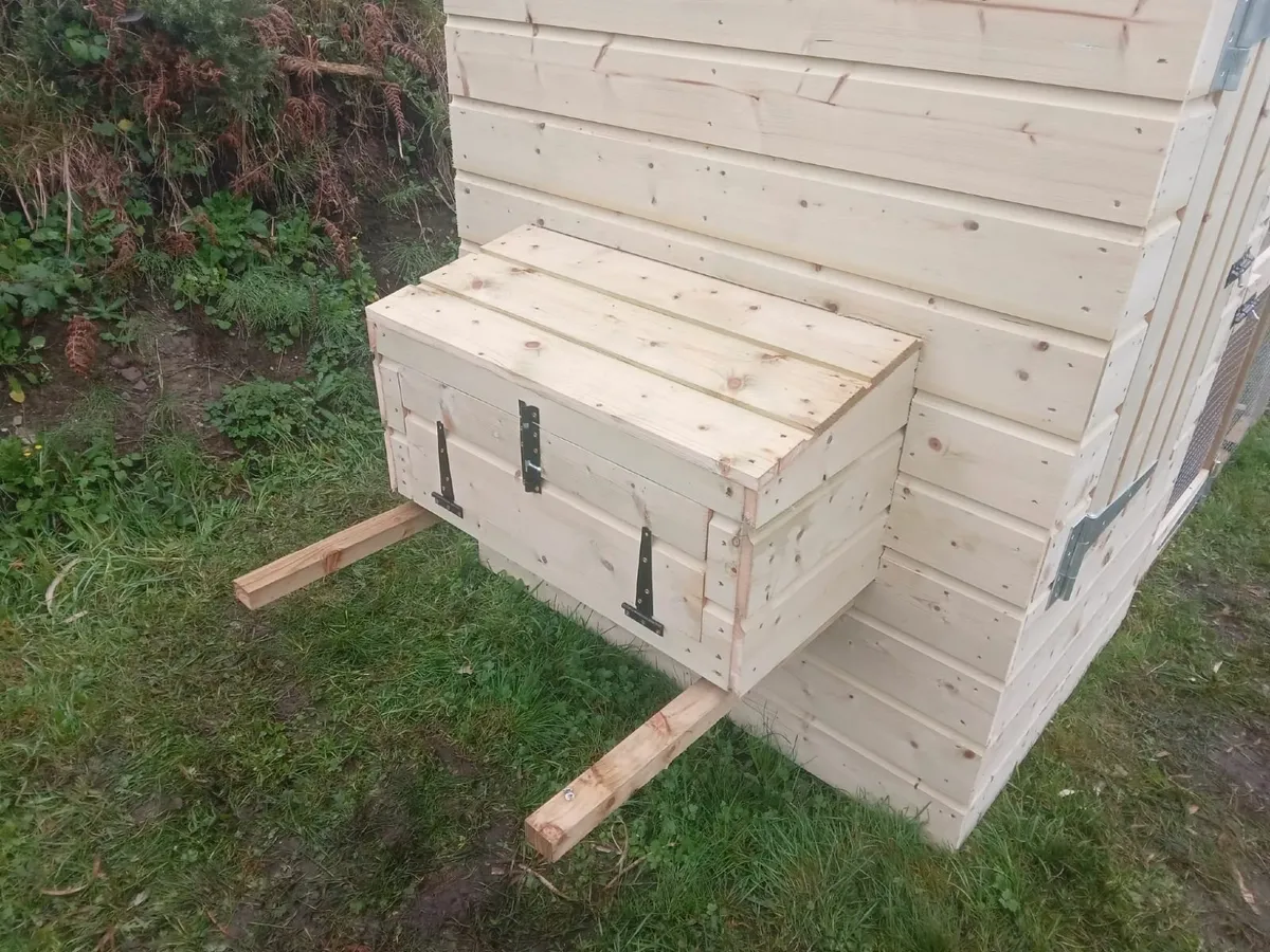 Chicken Coops - 💥Nationwide Delivery💥 - Image 3
