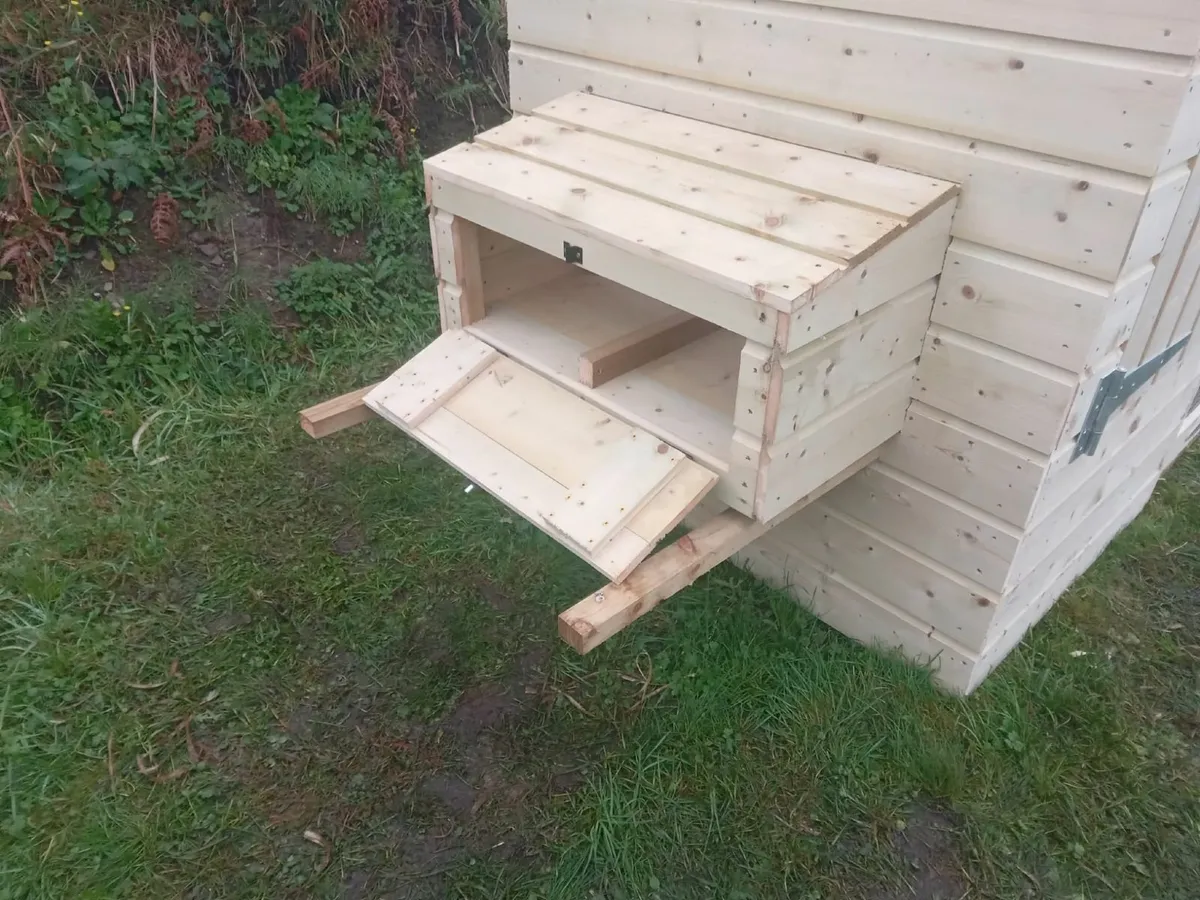 Chicken Coops - 💥Nationwide Delivery💥 - Image 4