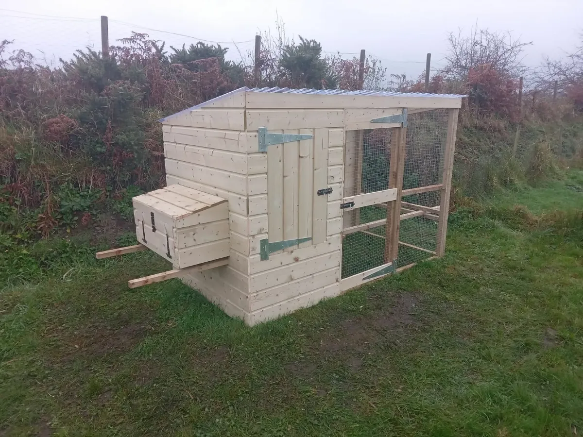 Custom Chicken Coops - Image 1