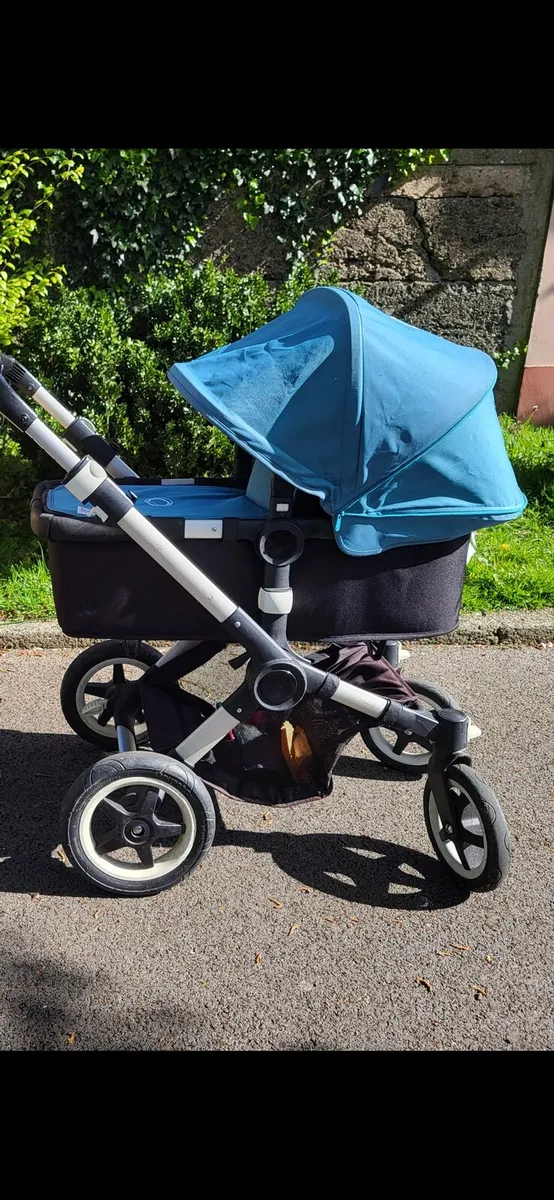 Buffalo buggy online