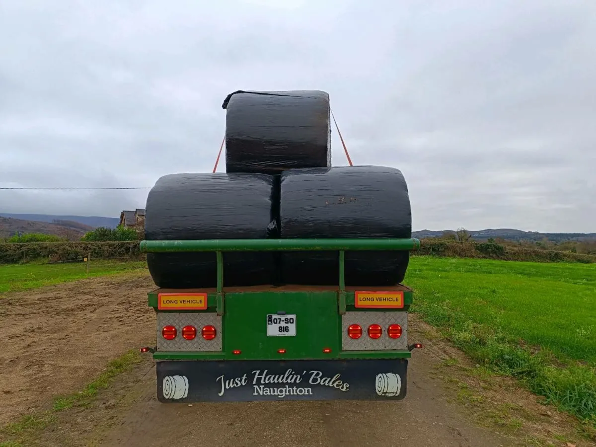 18ft flat bed Trailer - Image 4