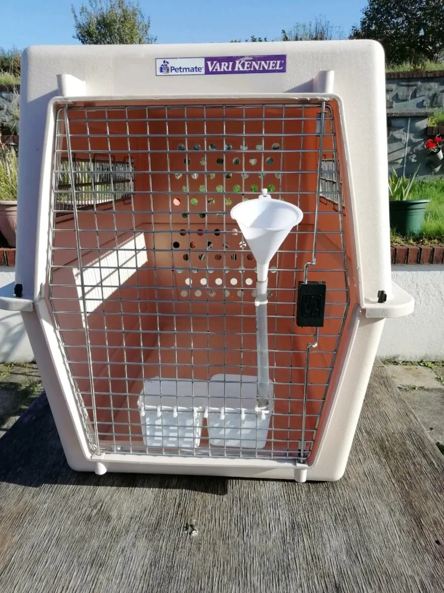 Done deal dog boxes shop