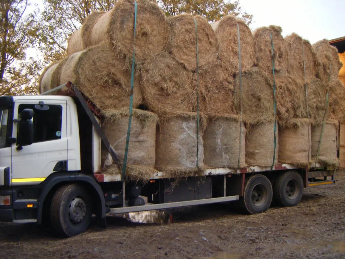 HAY and STRAW - Image 1