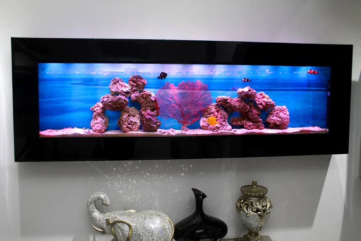 Extra Large Wall Aquarium - Image 1