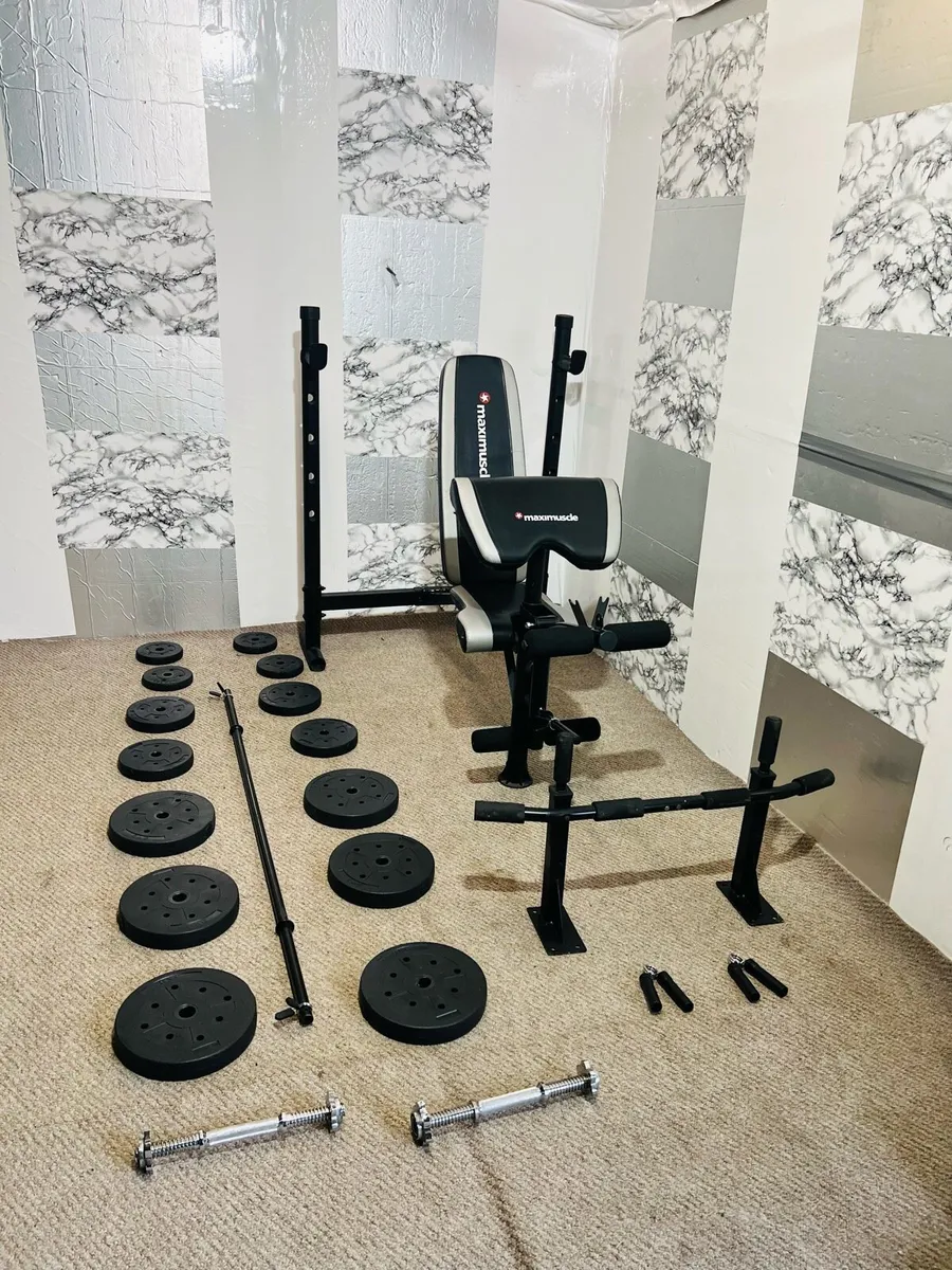 Maximuscle dumbbells sale