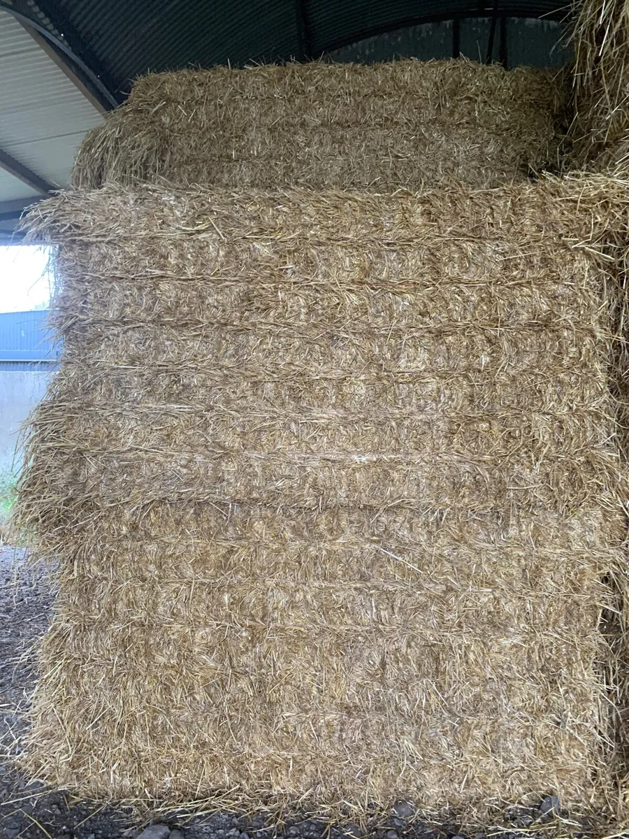 8X4X4 barley straw for sale in Co. Meath for €0 on DoneDeal