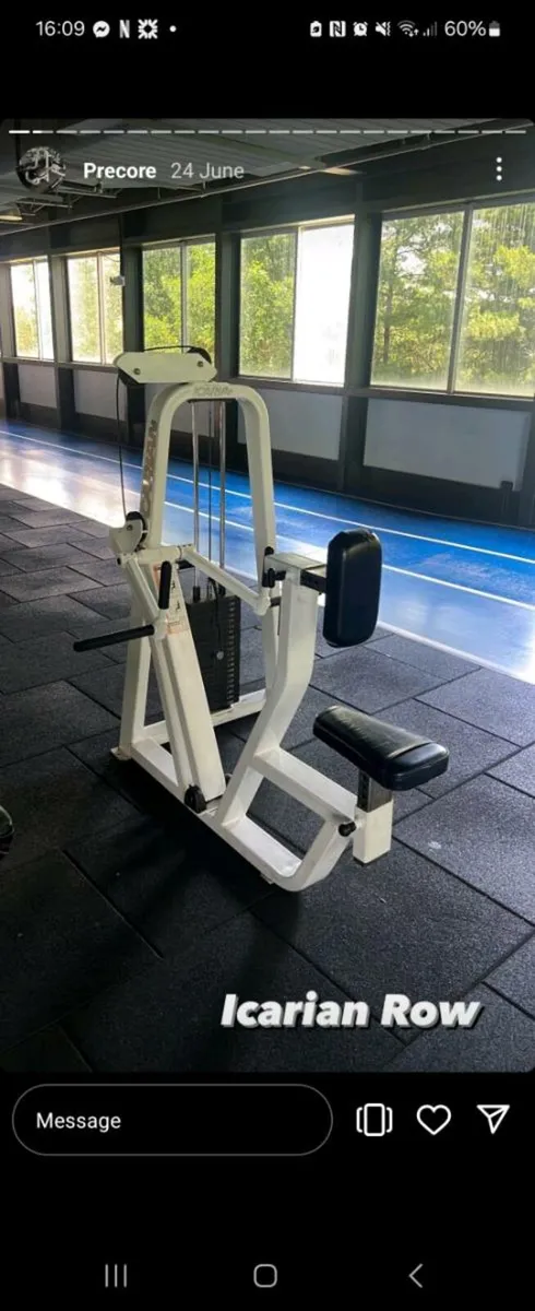 FULL ICARIAN GYM GYM EQUIPMENT 14 PIECES for sale in Co. Down for 1 on DoneDeal