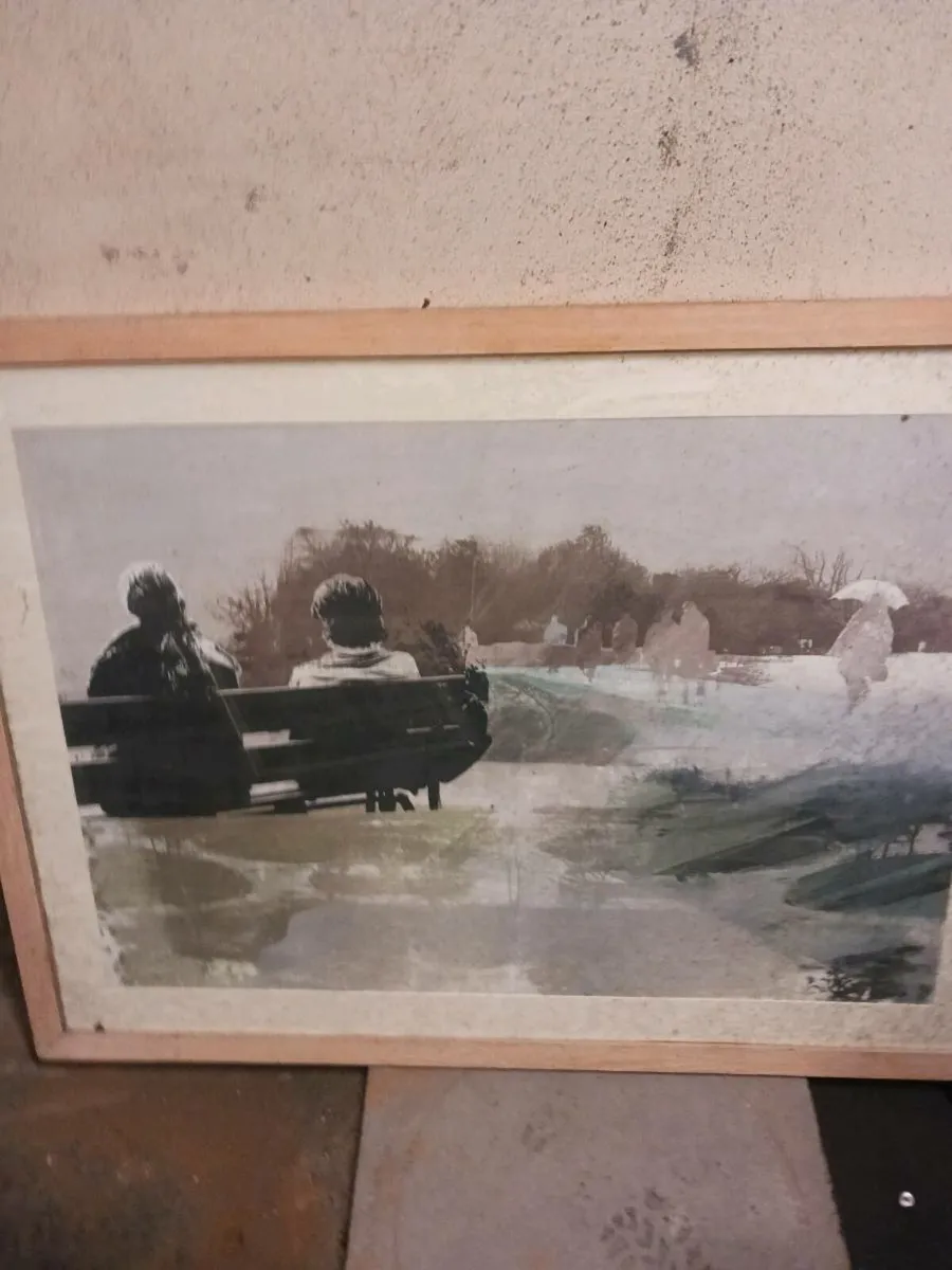 Pictures - Image 2