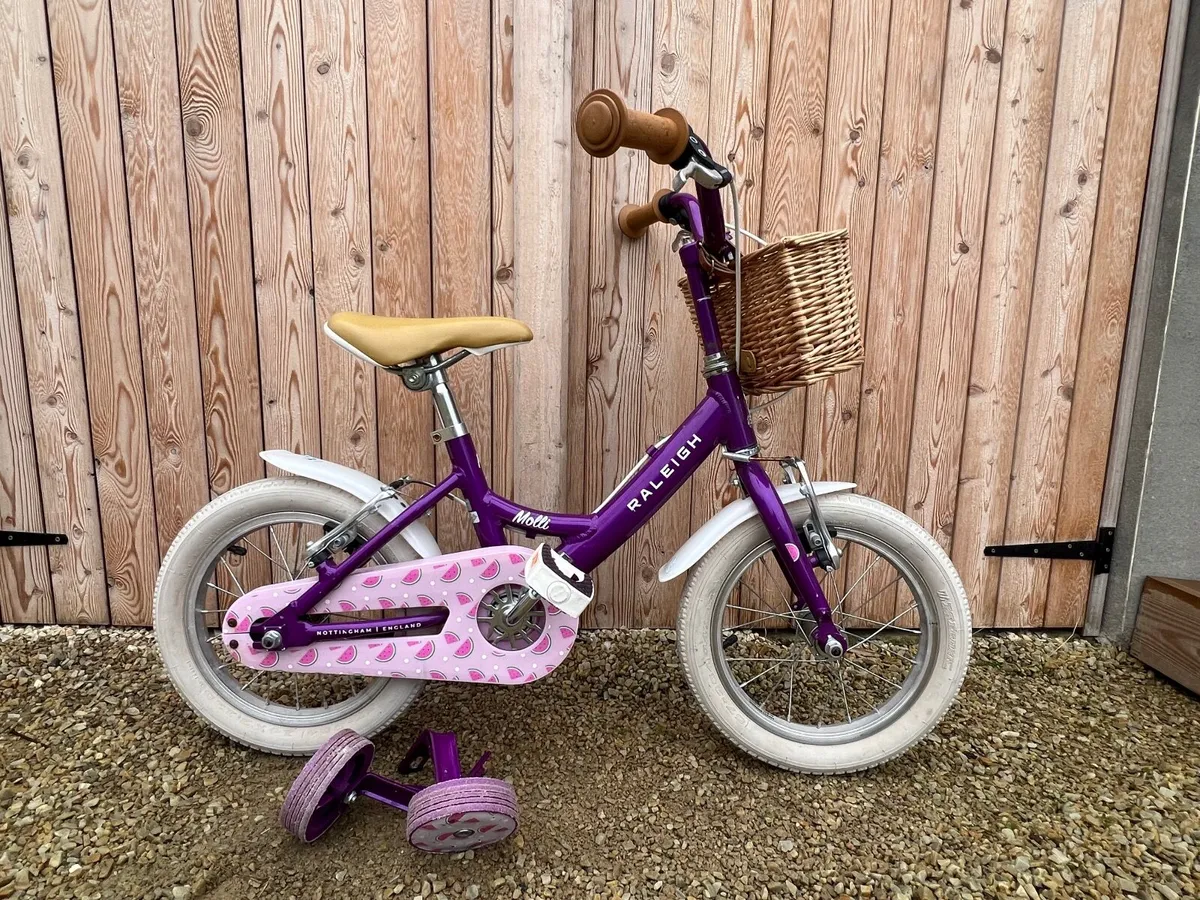 Raleigh Molli Bike for sale in Co. Dublin for 75 on DoneDeal