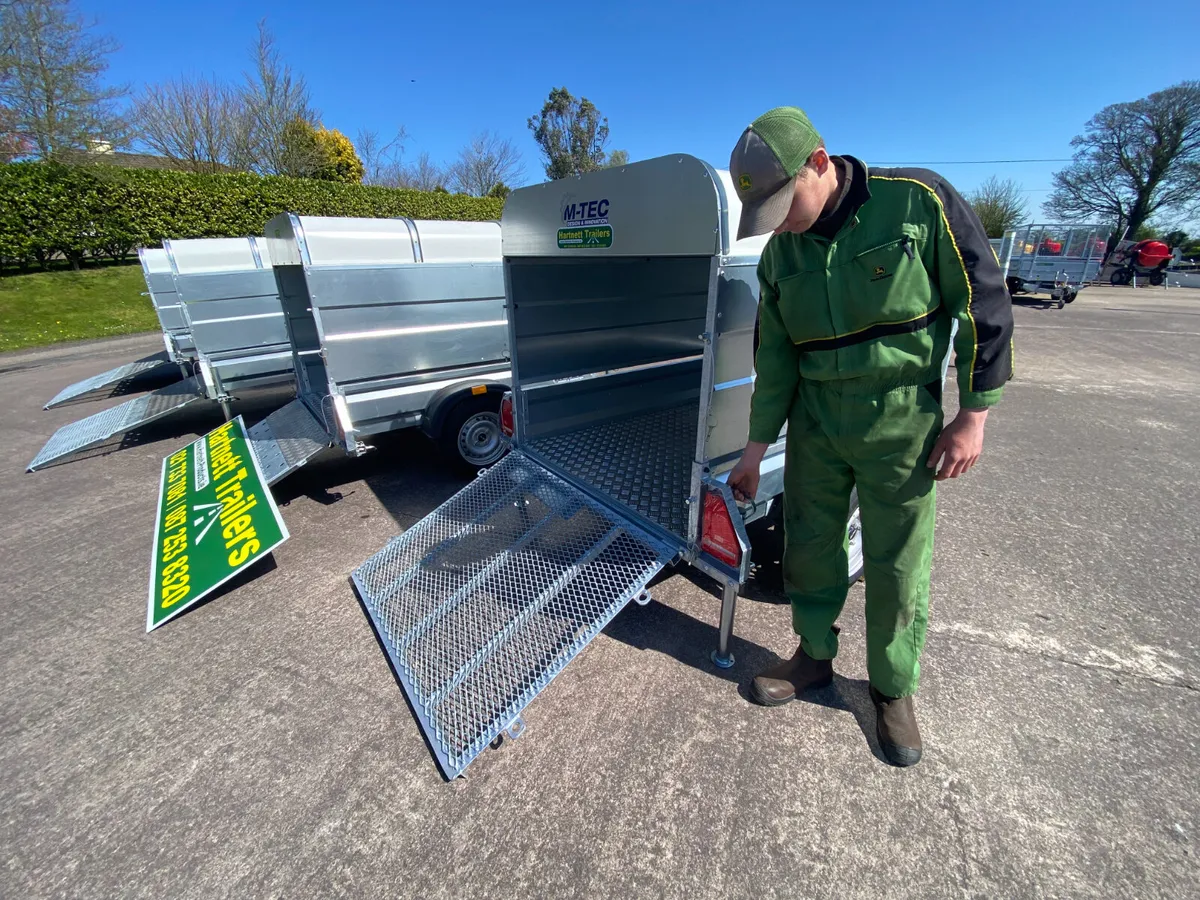 6x4 Livestock Trailer Single Axle for Sale - Image 4