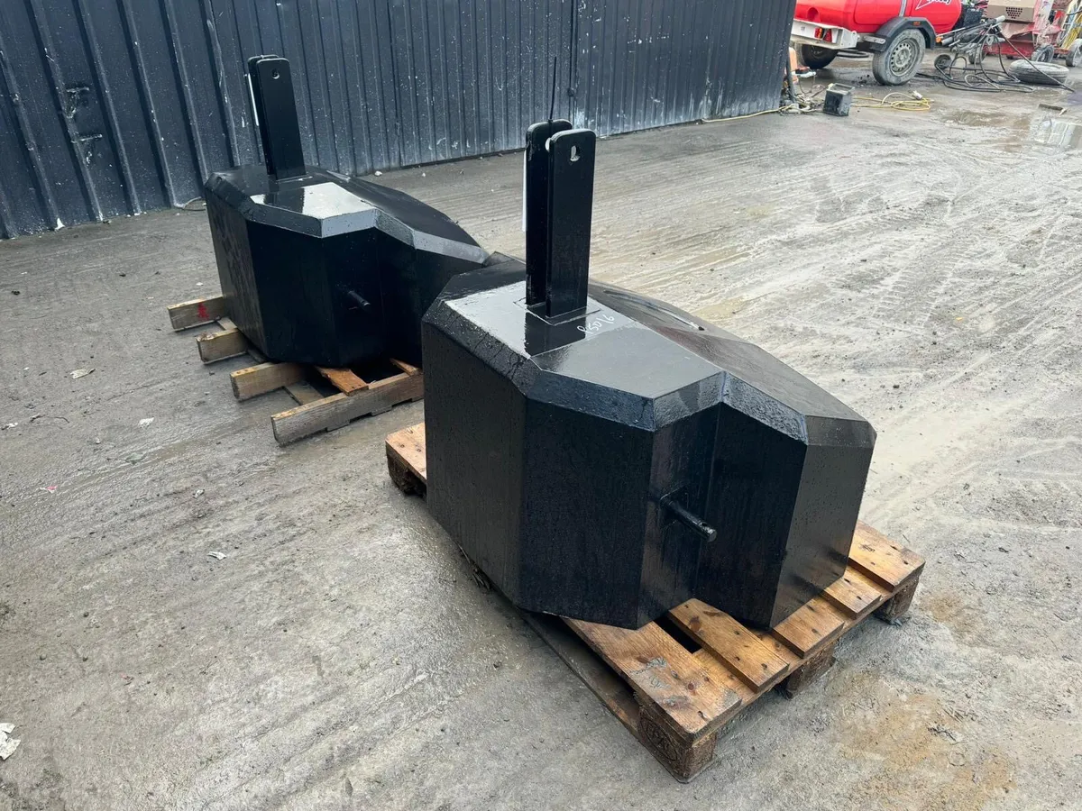 Choice of 2 1000kg Weights - Image 3