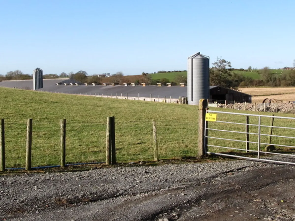 Pig Farm assistant cavan - Image 1