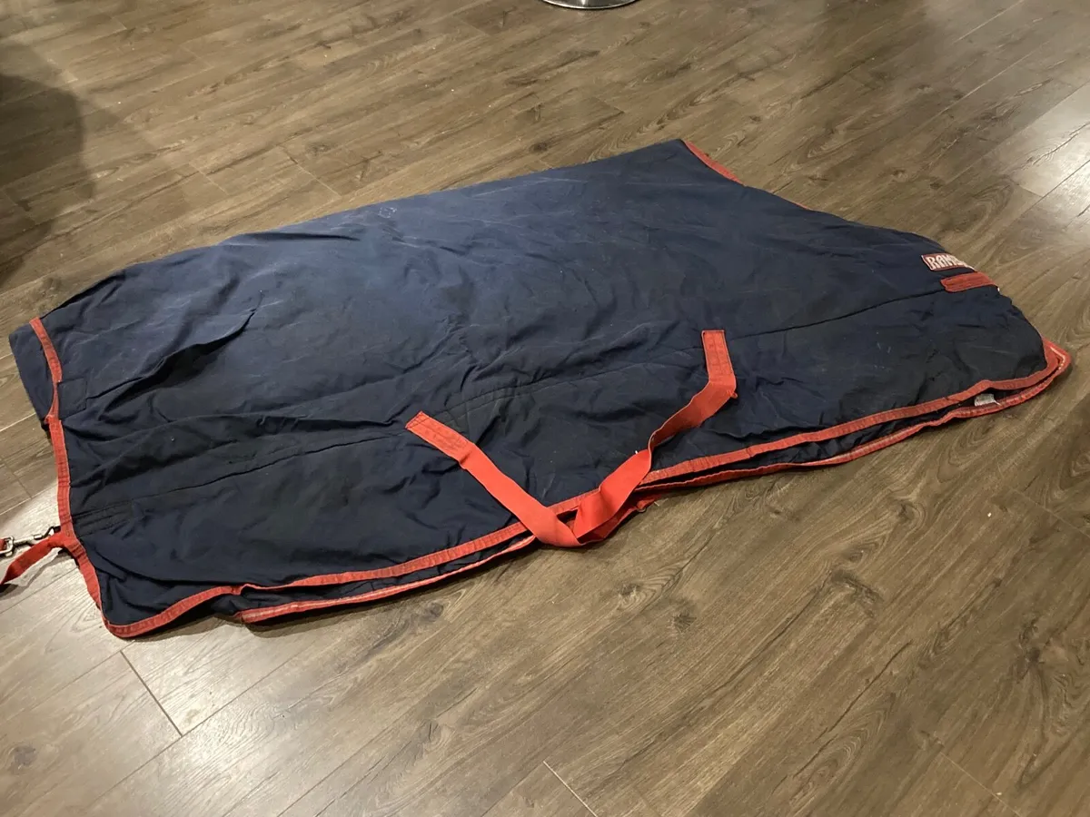 Prof Cleaned- HORSEWARE Rambo  rug - Image 1