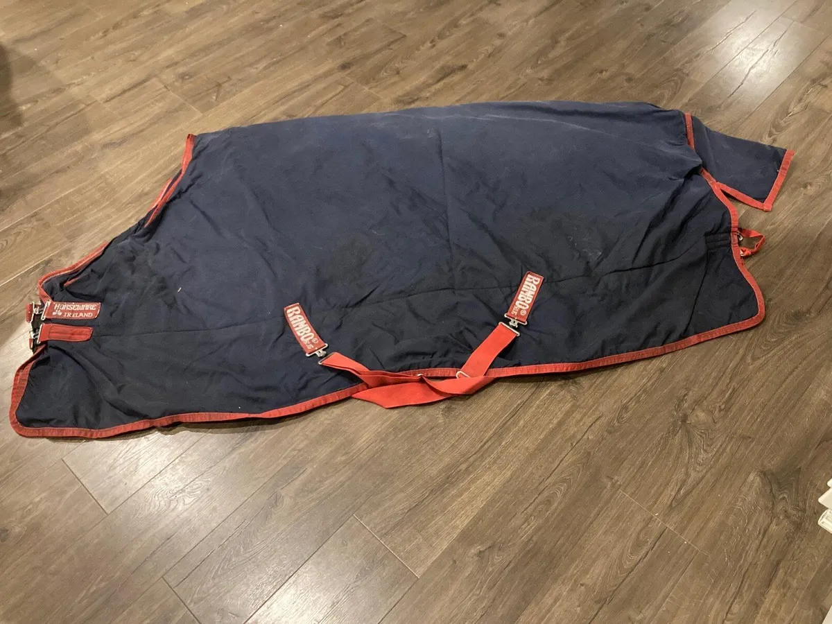Prof Cleaned- HORSEWARE Rambo  rug - Image 4