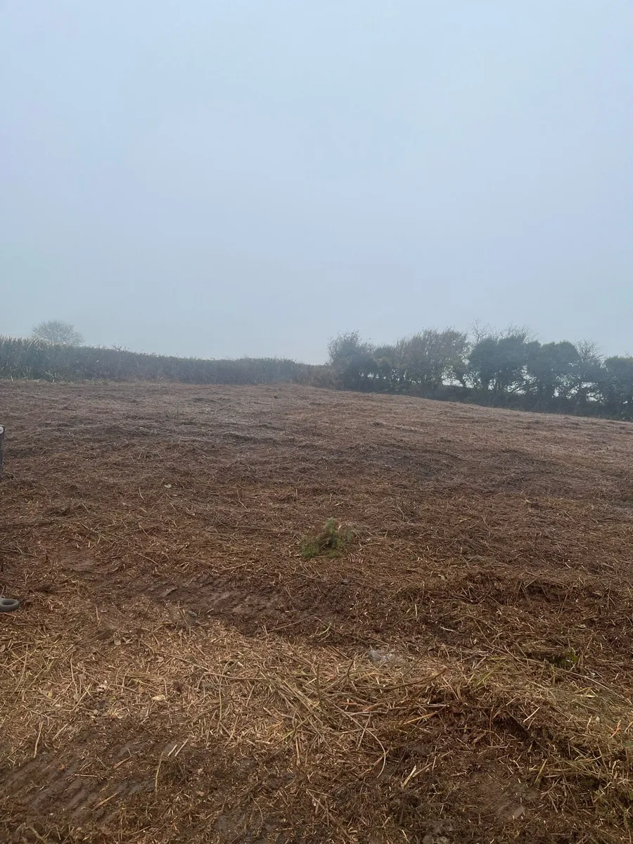Mulching and tree service - Image 1